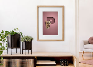 cat portrait in a letter framed in a french oak style frame